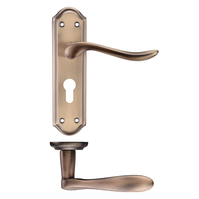 Project Lincoln Lever on Europrofile Lock Backplate 180x48mm-Florentine Bronze