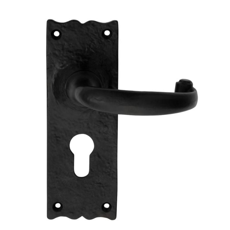 Carlisle Brass Traditional Lever on Euro Lock Backplate