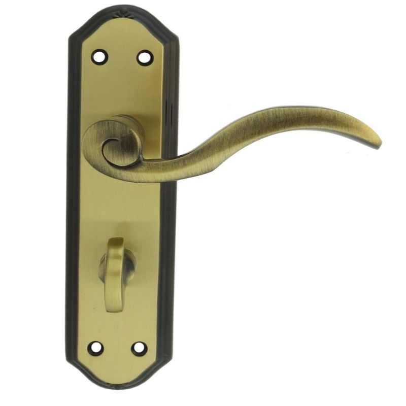 Carlisle Brass Wentworth Lever on WC Backplate
